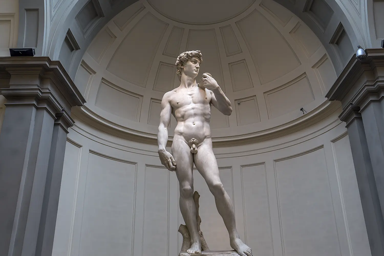 David by Michelangelo at the Galleria dell'Accademia in Florence, Italy