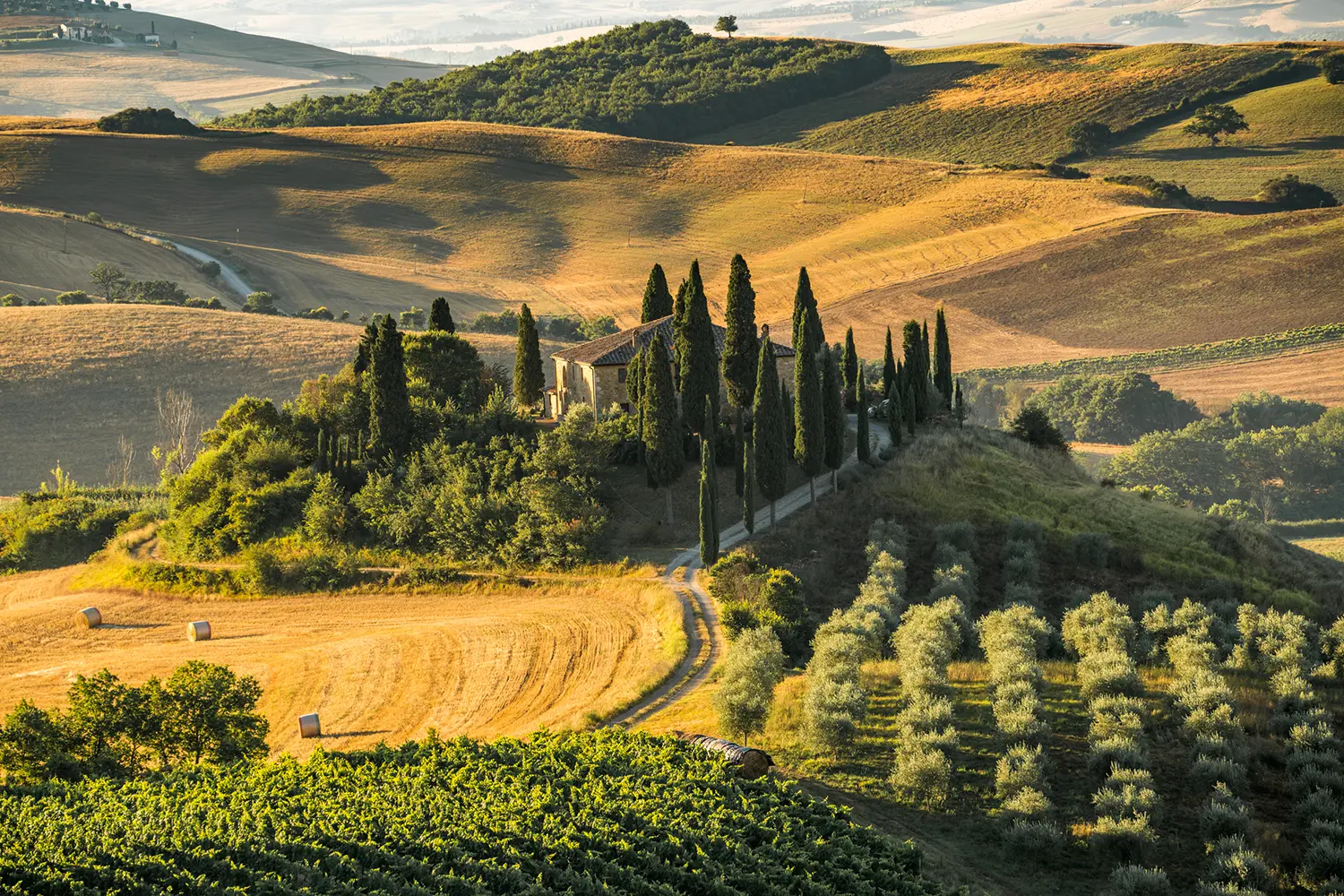 The rolling hills of Tuscany in Italy